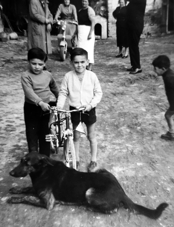 Papi senior-Vanni Vioni